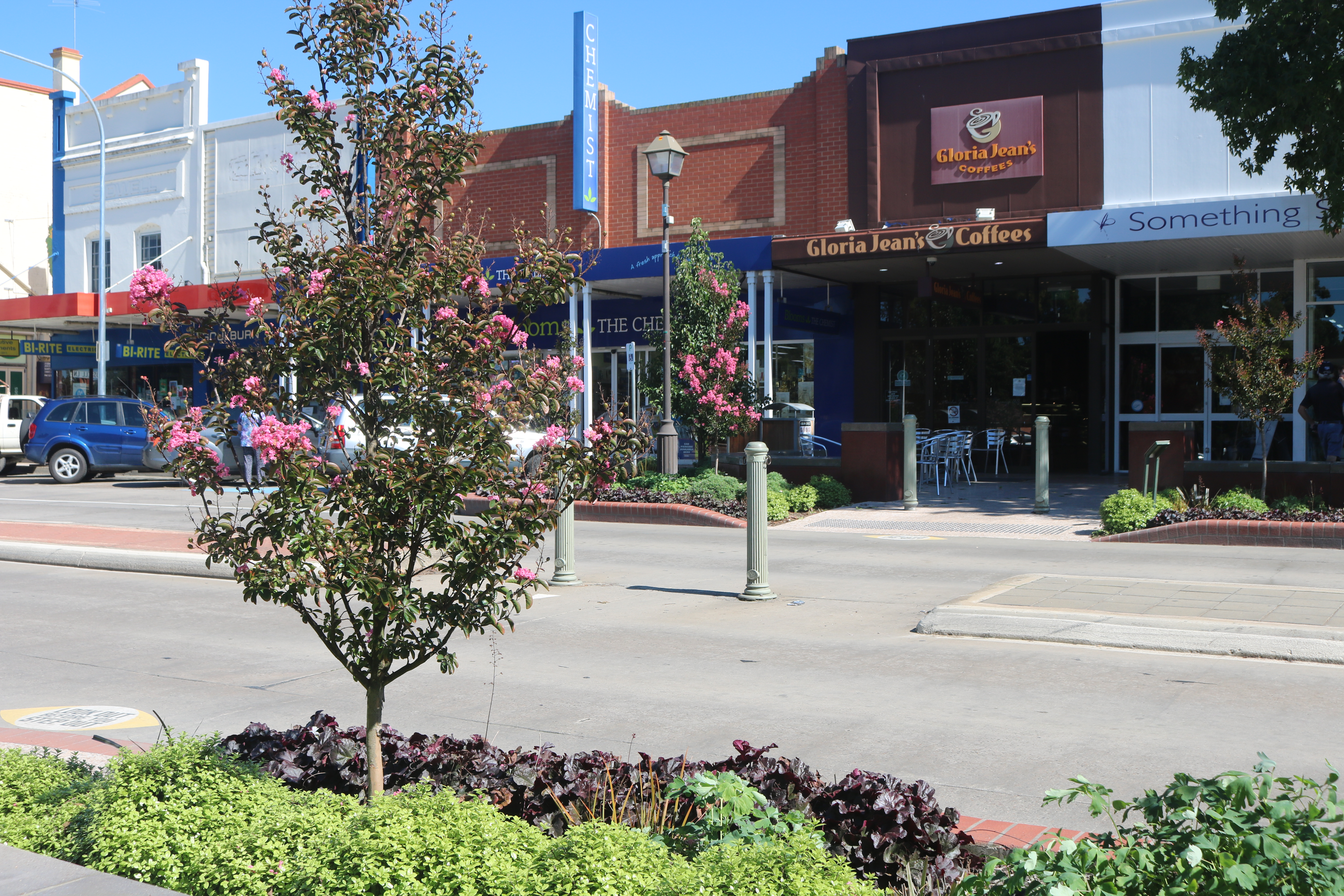 2024 Australia Day Award Winners Announced The National Tribune   Auburn St 9 