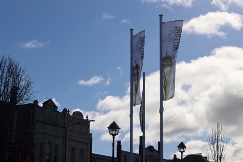 Auburn St Flags (5).JPG