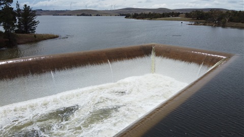 Pejar Dam.JPG