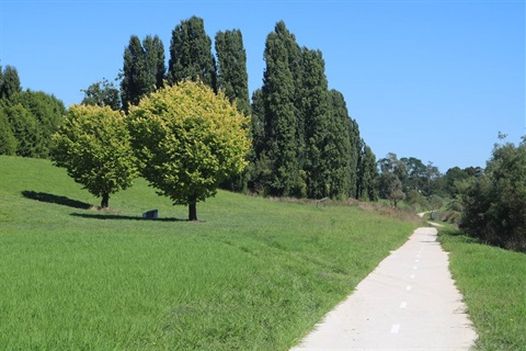 river walkway.jpg